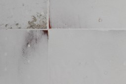 Site Klein